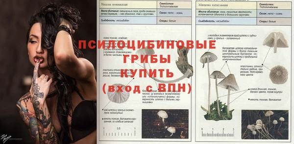 амф Алексин