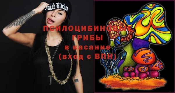 амф Алексин