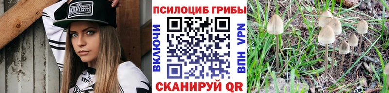 Галлюциногенные грибы GOLDEN TEACHER  MEGA онион  Сысерть 